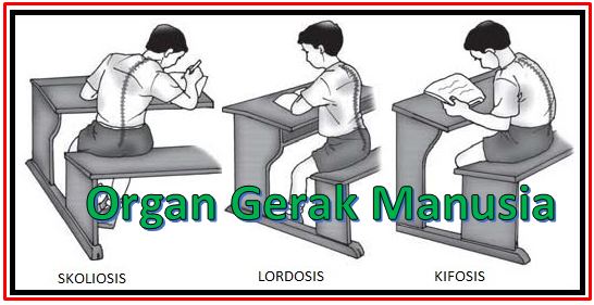 organ gerak manusia dan hewan kelas 4 dan kelas 5