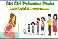 ciri ciri pubertas pada laki laki dan perempuan dan perempuan