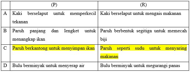 gambar tabel perbedaan ciri khusus pelikan dan bebek