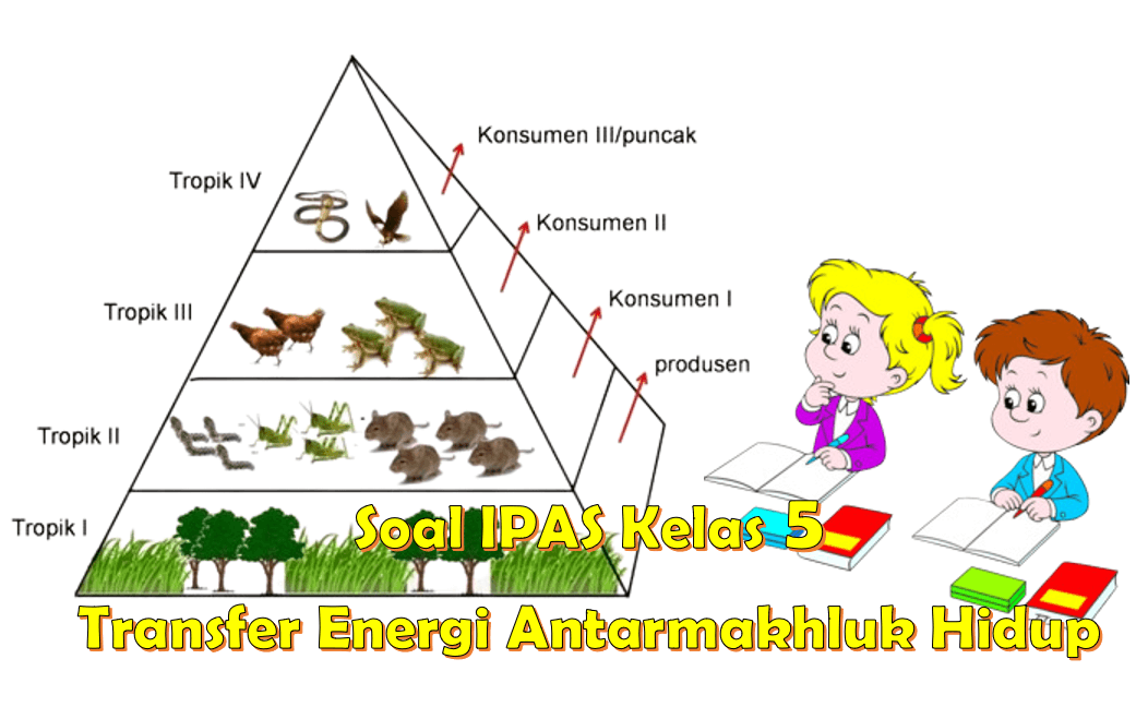 Soal IPAS Kelas 5 Transfer energi antarmakhluk hidup